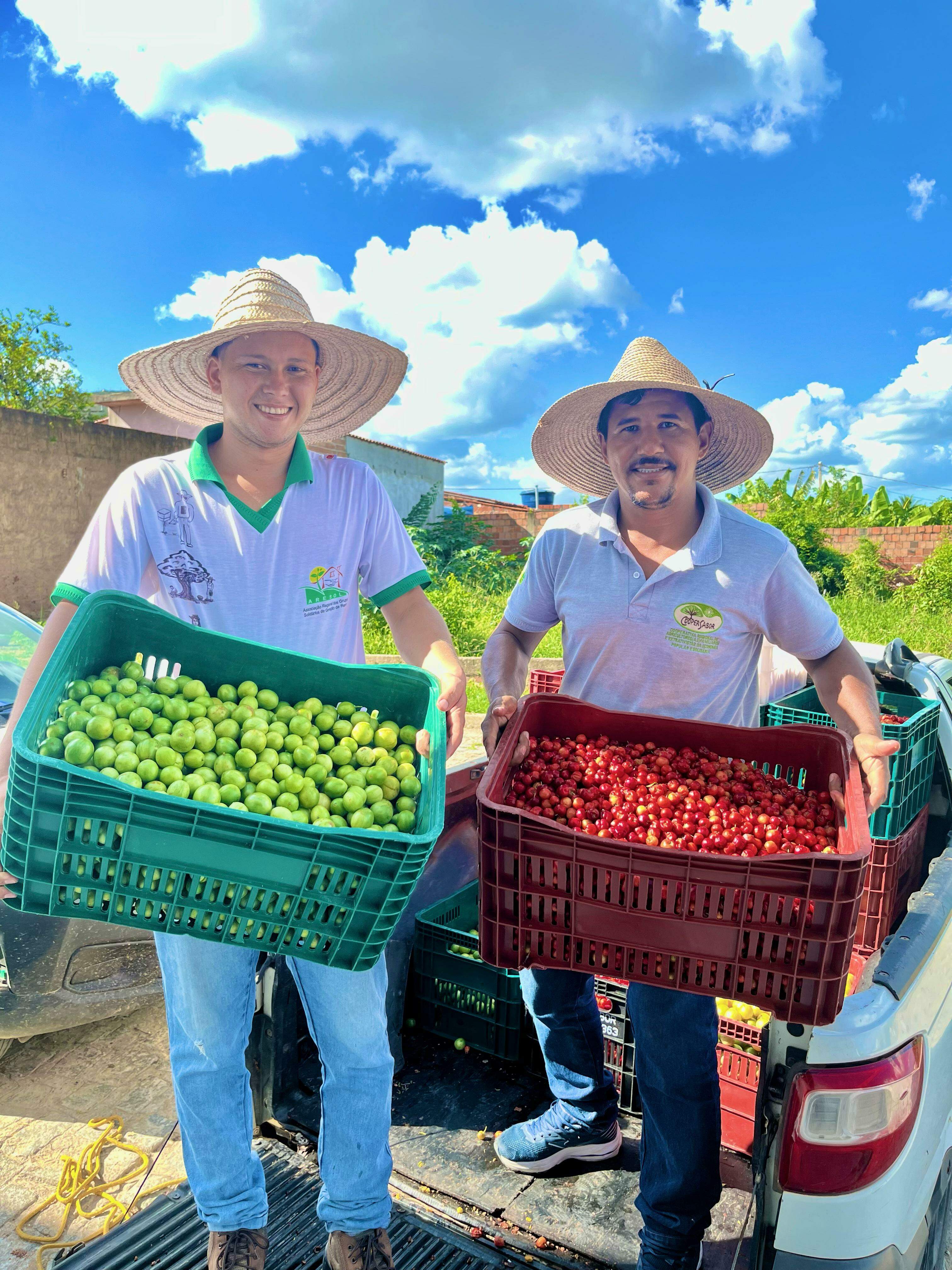 Compra do Umbu Impulsiona Agricultores e Garante Estoque para a Coopersabor