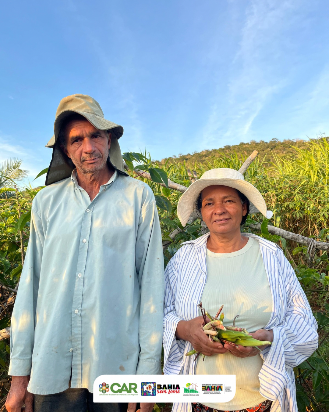 Colheita que nasce da esperança e do trabalho 